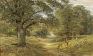 Deer In A Wooded Landscape by Alfred Augustus Glendening