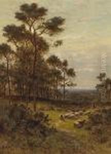 Surrey Pines