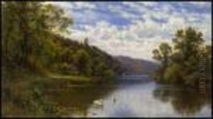 Swans On The River Thames by Alfred Augustus Glendening