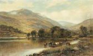 Cattle Watering In A Valley River. Cattle Watering In A Valley River.