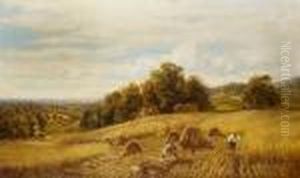 Harvest Time Harvest Time