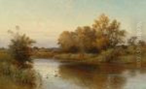Swans On A River
