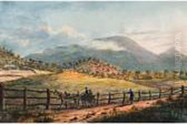 Mt Wellington From Sandy Bay - view 1