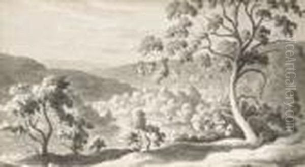 Tasmanian Landscape - view 1