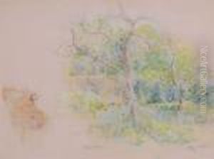 Jardin Arbres Fleurs