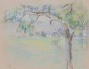 Paysage Avec Des Arbres Paysage Avec Des Arbres