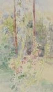 Jardin Fleurs Et Arbres