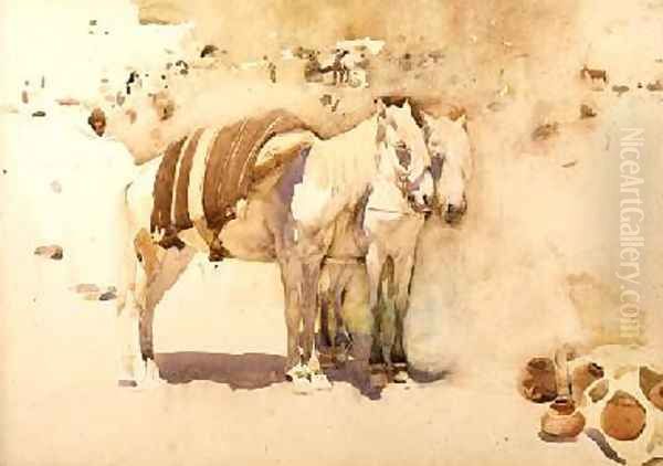 The White Mules - view 1