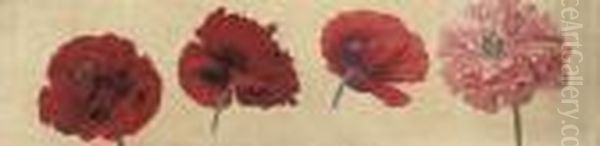 Poppies - view 1