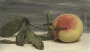 Still Life Of Peach With Twig Still Life Of Peach With Twig