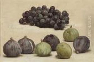 Still Life Of Grapes And Figs