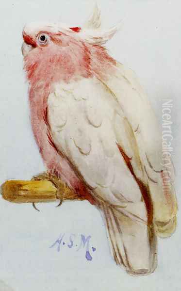 A Pair Of Leadbetter Cockatoos - view 1