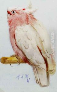 A Pair Of Leadbetter Cockatoos by Henry Stacy Marks