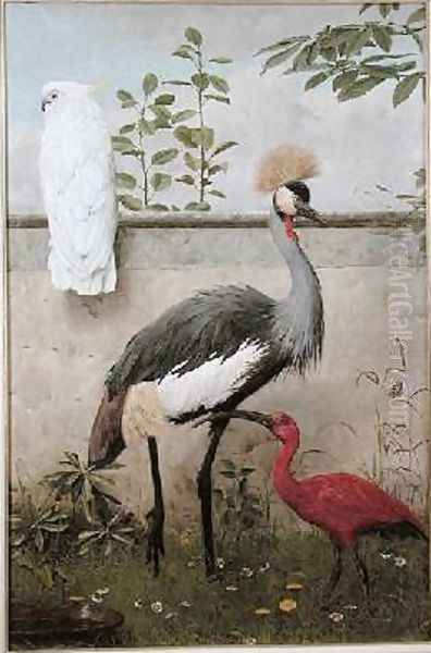 Cockatoo Crested Crane and Scarlet Ibis - view 1