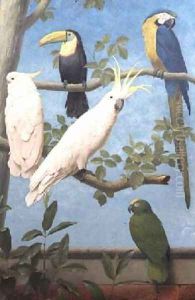 Cockatoos Toucan Macaw by Henry Stacy Marks