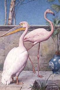 Pelican and Flamingo by Henry Stacy Marks