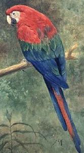 Red and Blue Macaw by Henry Stacy Marks