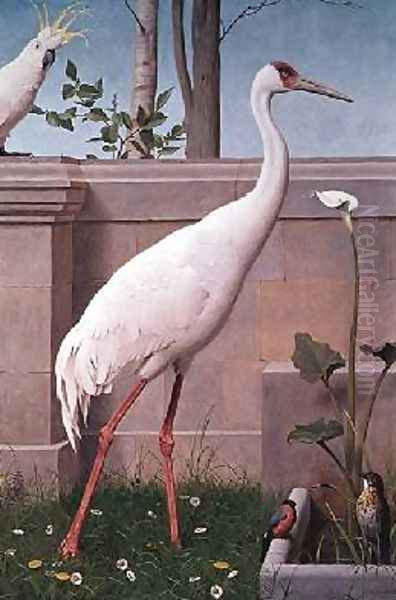 Indian Crane Cockatoo Bullfinch and Thrush - view 1
