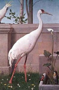 Indian Crane Cockatoo Bullfinch and Thrush by Henry Stacy Marks