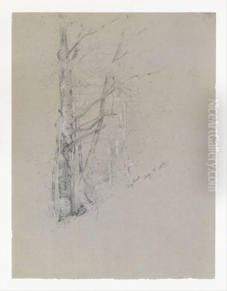 Dry Brook - view 1