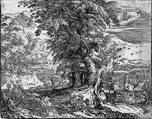 Die Landschaft Mit Den Baumen Die Landschaft Mit Den Baumen