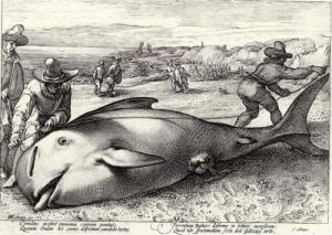 The Stranded Whale At The Shore Of Zandvoort