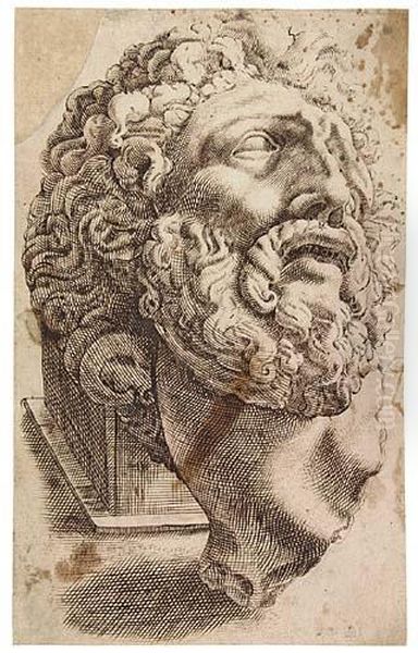 The Head Of Laocoon As A Fragment - view 1