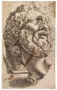 The Head Of Laocoon As A Fragment by Hendrick Goltzius