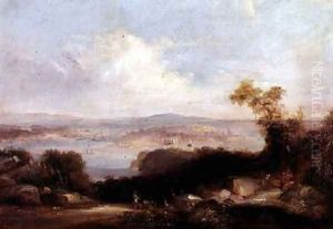Extensive view of Sydney Harbour
