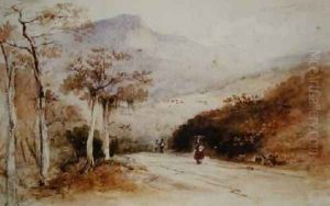 The Country Road