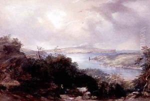 Sydney harbour looking towards the North Head