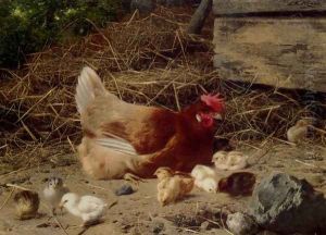 A Hen And Chickens by Eugene Remy Maes
