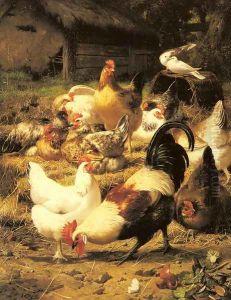 Poultry in a Farmyard by Eugene Remy Maes