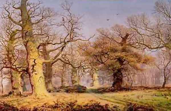 Oak Trees in Sherwood Forest 1877 - view 1