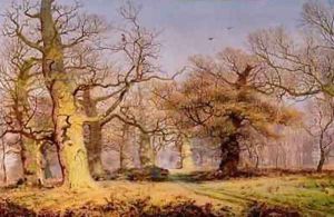 Oak Trees in Sherwood Forest 1877 by Andrew MacCallum