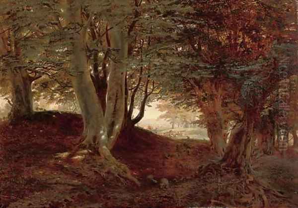 The shady side, near the Hendry, Monmouthshire - view 1