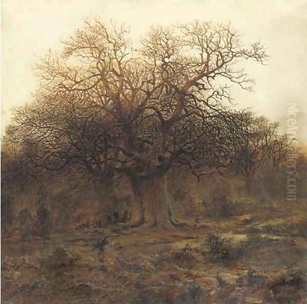 Twilight, Burnham Beeches - view 1