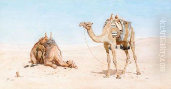 Camels Resting In The Desert - view 1