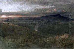 The Gum Diggers Land, In Dargaville, New Zealand