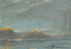 The Cape Of Good Hope, Dawn