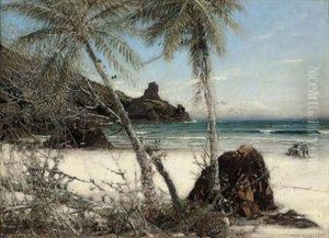 The Coral Strand