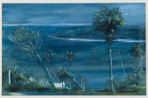 Moonlight At Port Antonio, Jamacia