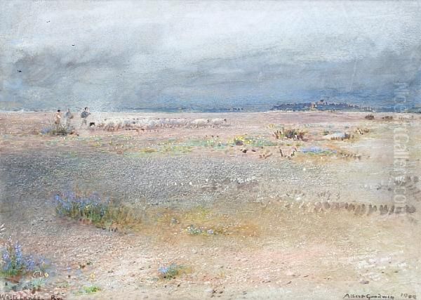 Wastelands, Rye - view 1