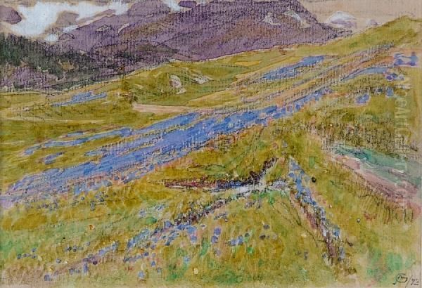 In The Alps - view 1