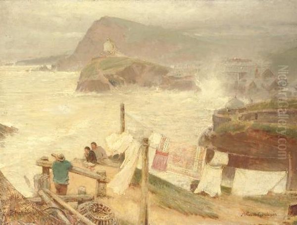 Ilfracombe From Compass Hill - view 1