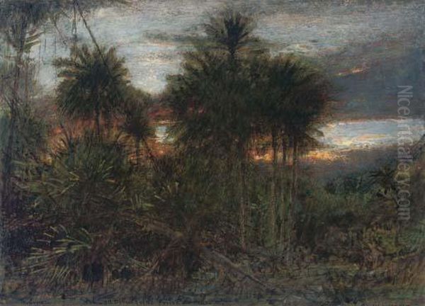 The Jungle - view 1