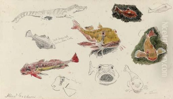 Studies Of Fish - view 1