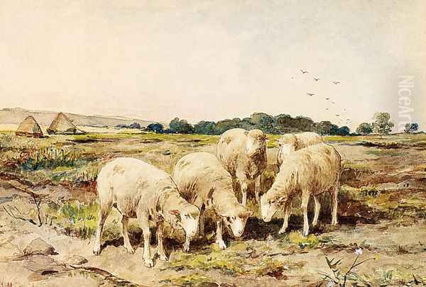 Grazing Sheep - view 1