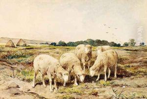Grazing Sheep by Anton Mauve