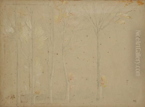 Trees - view 1
